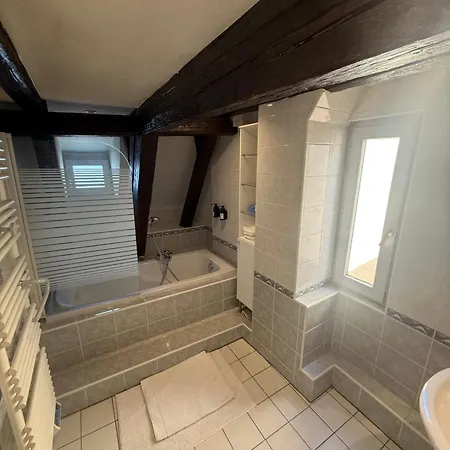 Duplex Le Leonor Strasburgo