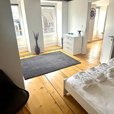 Duplex Le Leonor ストラスブール