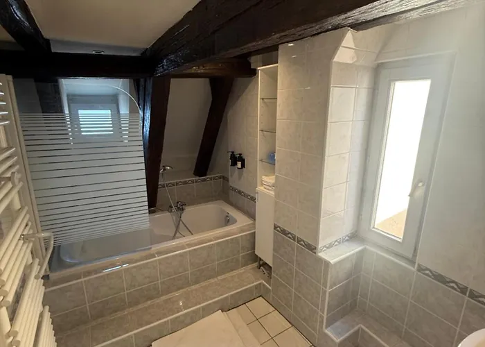 Duplex Le Leonor Strasbourg