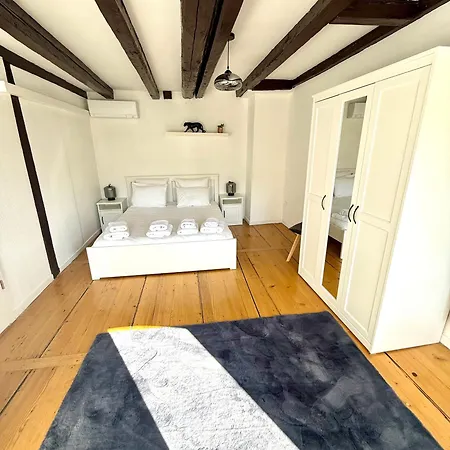 Duplex Le Léonor Appartamento Strasburgo